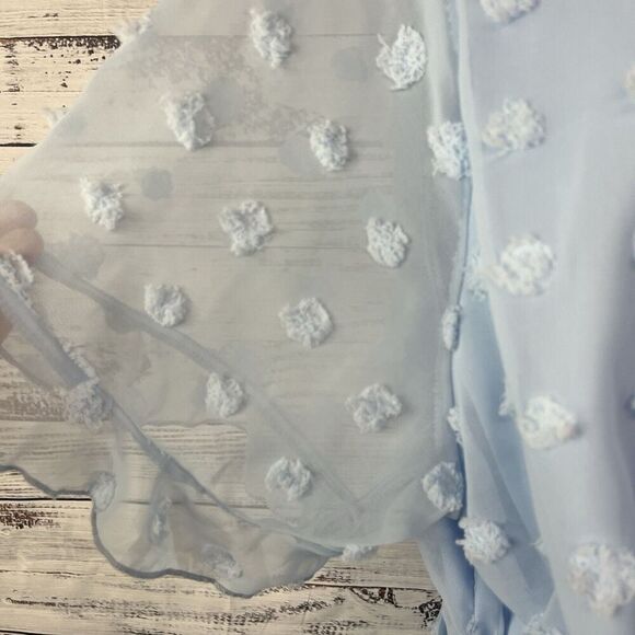 Plushe Dress Plus sz 4XL Light Blue Sheer Swiss Dots Knee A Line Wedding Church - Picture 10 of 15